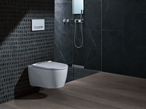 Geberit One wall-mounted WC Wash-down unit wall-hung, TurboFlush, with WC seat with soft-closing mechanism