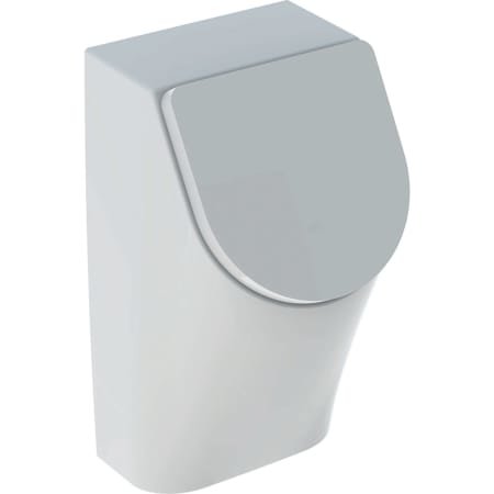 Urinal Mit Deckel Keramag